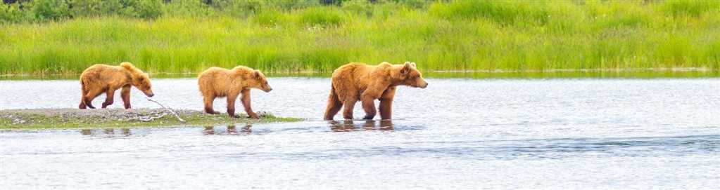 Alaska Cruise & Canada tour image