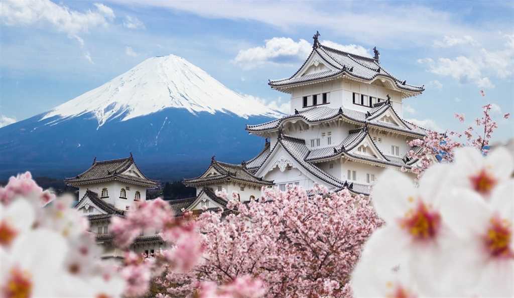 JAPAN - Land & 12 night cruise tour image