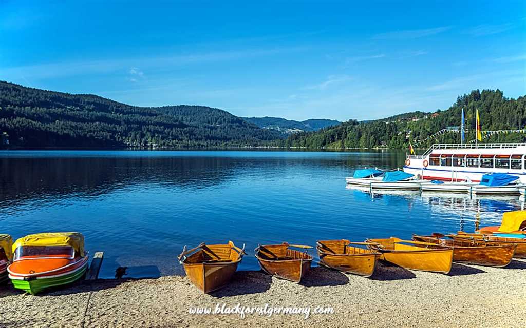 France, Germany, Switzerland & The Black Forest Incl Europa Theme Park tour image