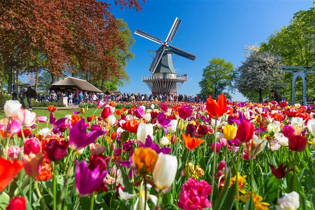 Grand Holland & The Tulip Festival tour image