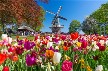 Grand Holland & The Tulip Festival ShowCase